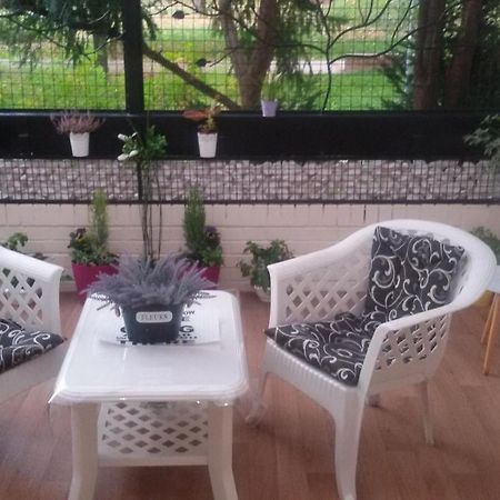 Dandelo Apartment Novi Sad Bagian luar foto