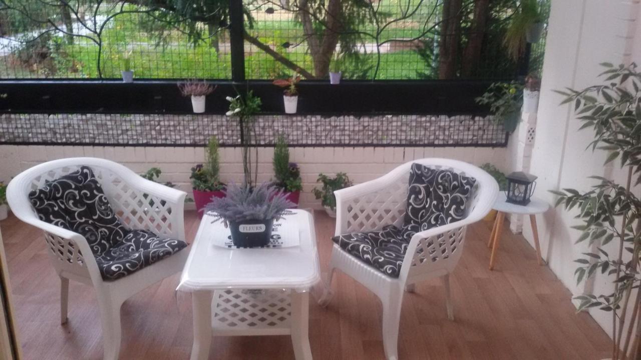 Dandelo Apartment Novi Sad Bagian luar foto