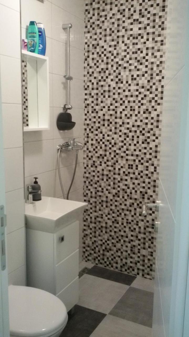 Dandelo Apartment Novi Sad Bagian luar foto