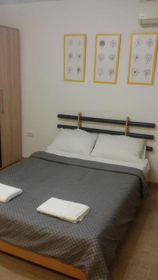 Dandelo Apartment Novi Sad Bagian luar foto
