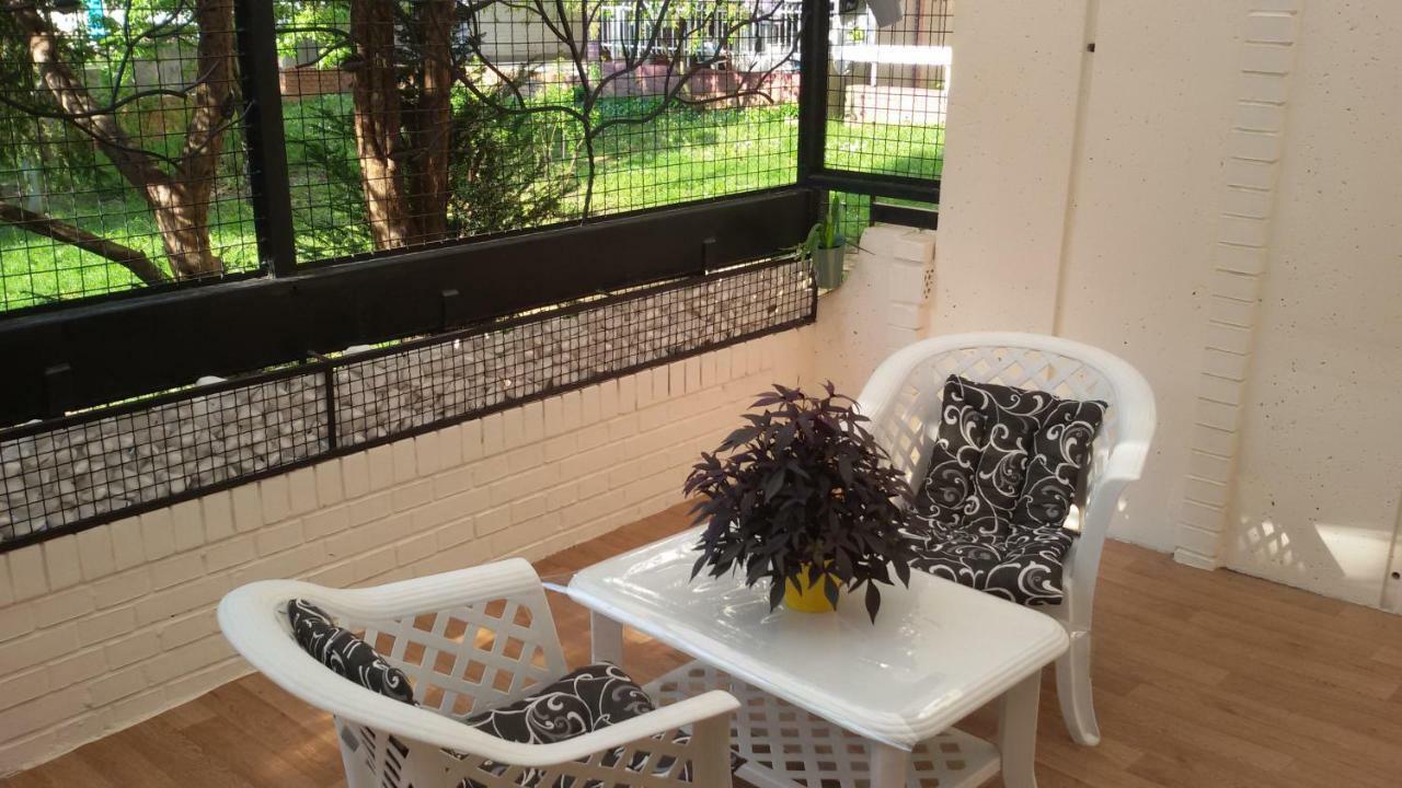 Dandelo Apartment Novi Sad Bagian luar foto